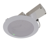 Radian NEW/Em/23/Д/850/03/220AC IP54 - светодиодная лампа Ledel
