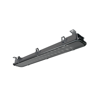 L-sub 25/25/Д/850/03/MT/I7-11/220AC IP65 закаленное стекло - светодиодный светильник Ledel